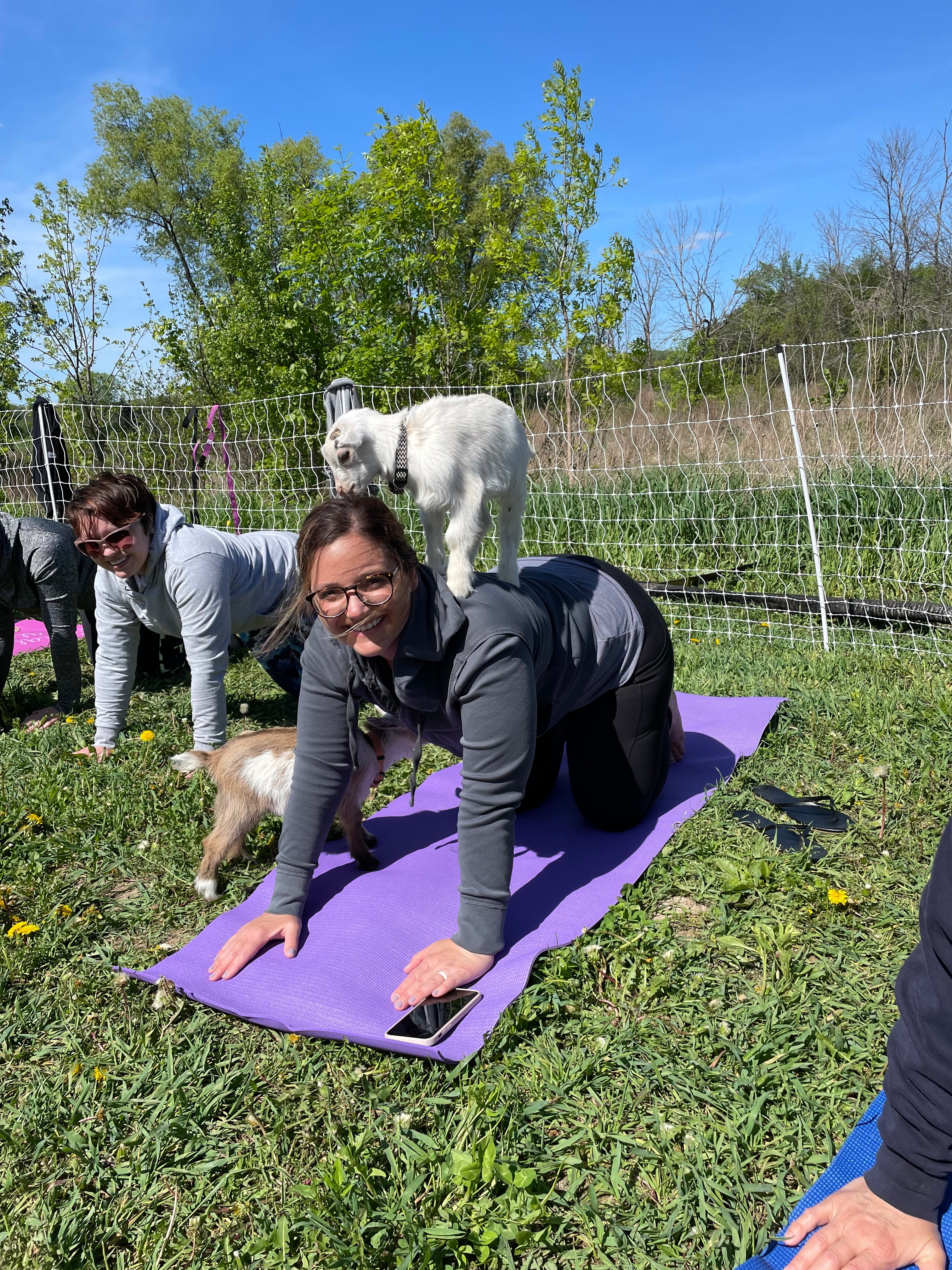 Goat Yoga participant with baby goat on back