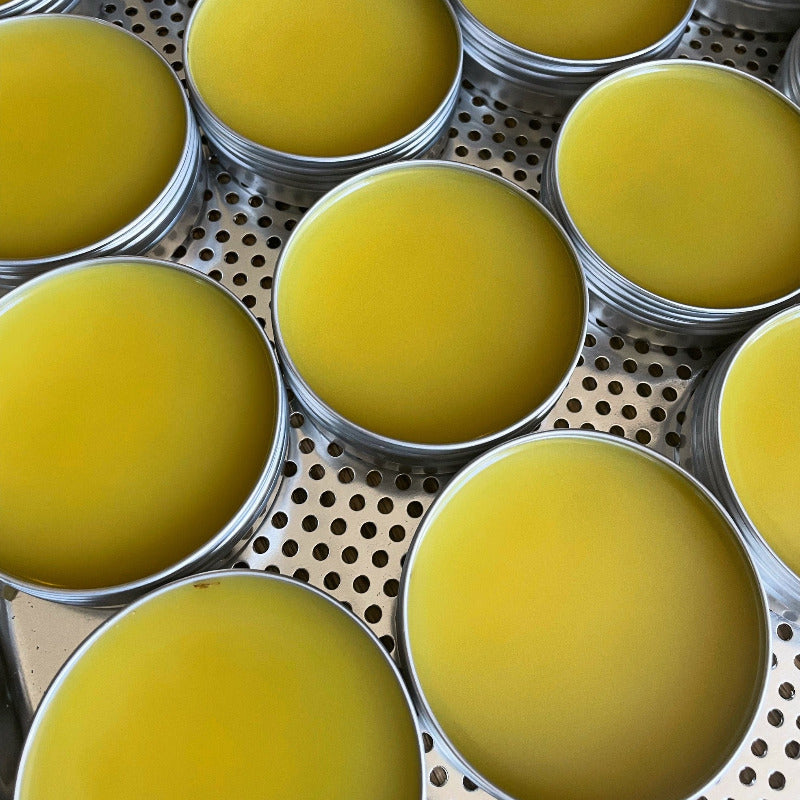 Dandelion salve in tin containers