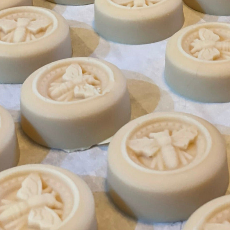 Solid lotion bars on tray with cocoa butter fragrance